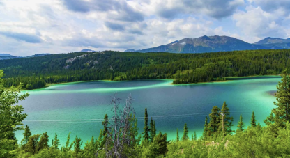 {{brizy_dc_image_alt imageSrc=